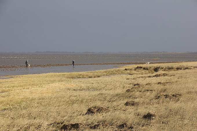 Wanderer, freilaufende Hunde, auffliegende Vögel