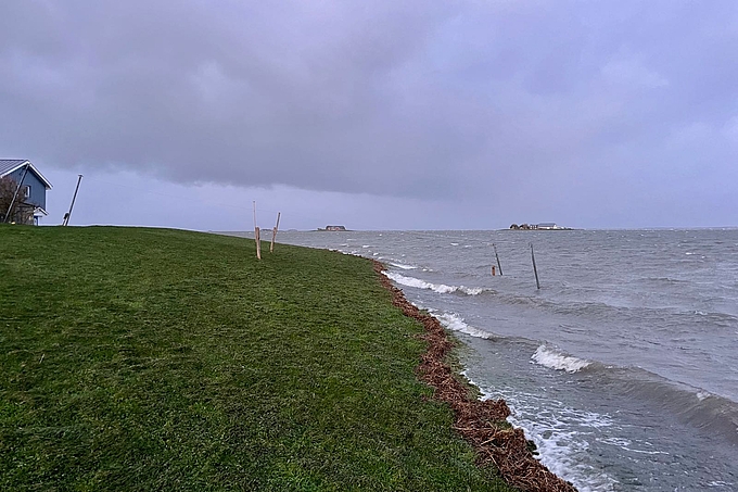 Hoch an der Warft stehendes Wasser