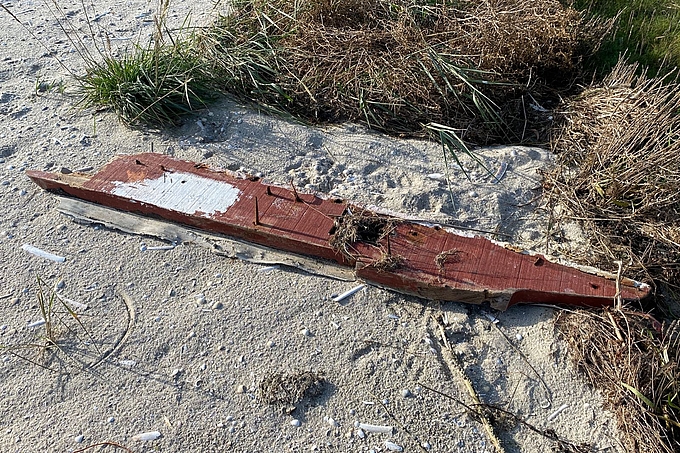 Holzstück mit rostigen Nägeln