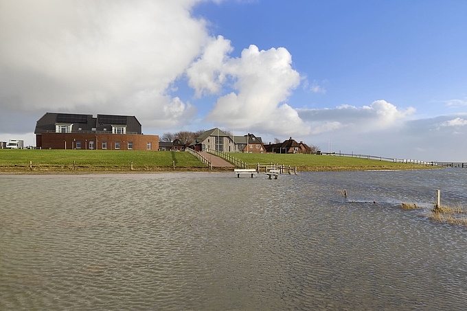 Hanswarft von Westen mittags am 2.1.2026 Hanswarft von Westen mittags am 2.1.2026