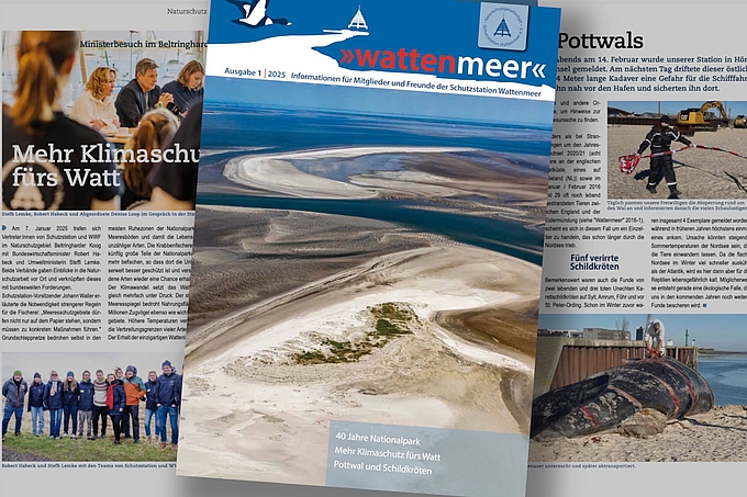 Montage aus Titel und weiteren Seiten