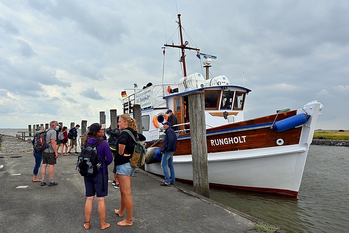 "MS Rungholt" am Anleger von Hallig Oland