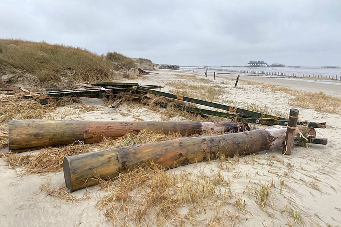 Holzstämme vom Steg an der Dünenkante