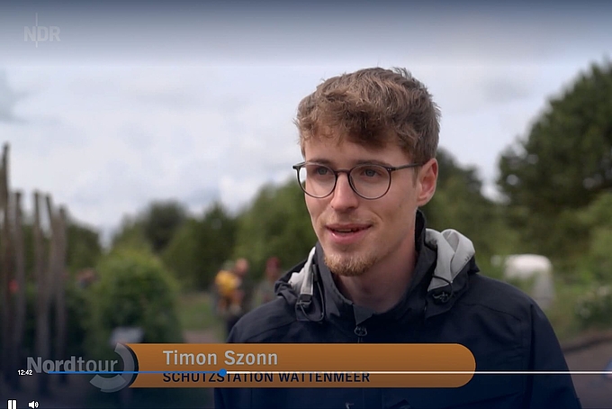 Timon im Interview