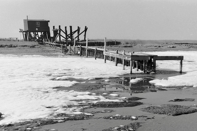 Hallig Norderoog im Winter 1973 mit fehlender Hütte Hallig Norderoog im Winter 1973 mit fehlender Hütte