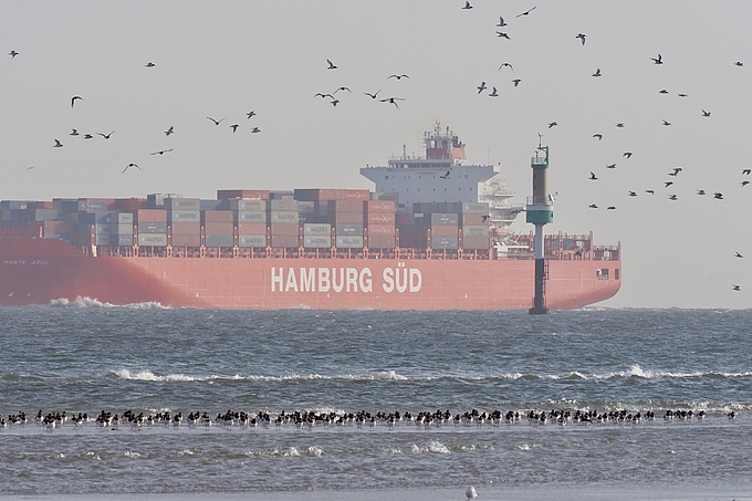 Vögel rasten auf Wattfläche vor Containerfrachter