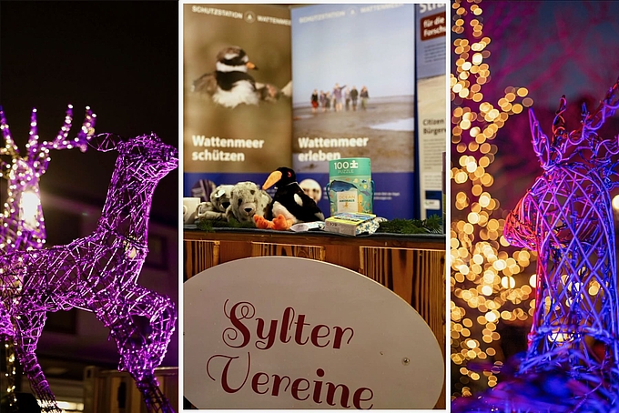 Auslage im Infostand Auslage im Infostand