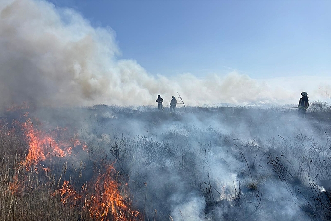 Flammen, Rauch und Feuerwehrleute