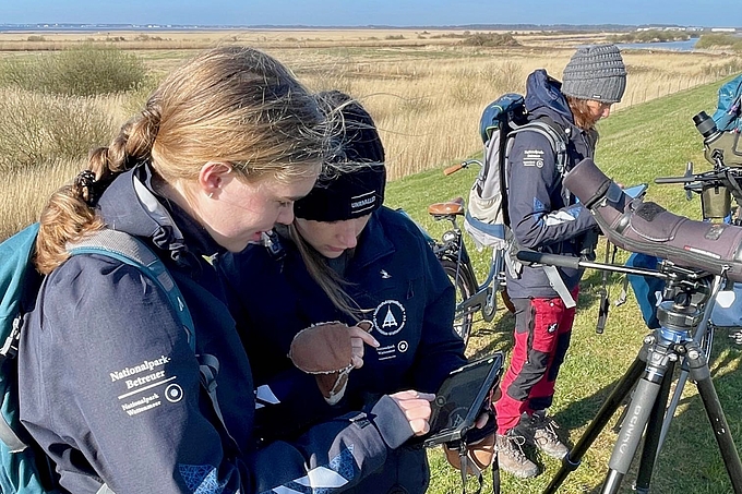 Vogelzählerinnen mit Tablet-Rechner