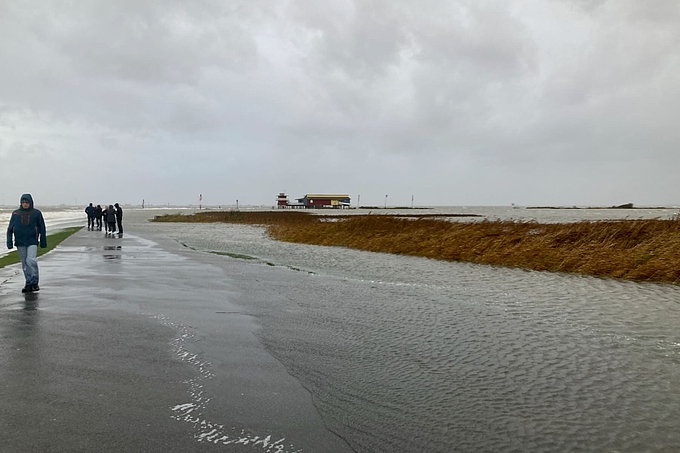 Personen auf dem Damm des Dockkoogs