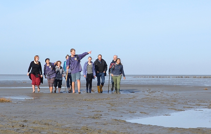 Wattwanderung im Weltnaturerbe Wattenmeer