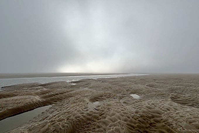 Nebelschwaden über Priel und Tümpeln Nebelschwaden über Priel und Tümpeln