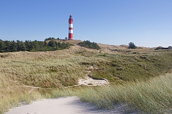 Dünen am Amrumer Leuchtturm