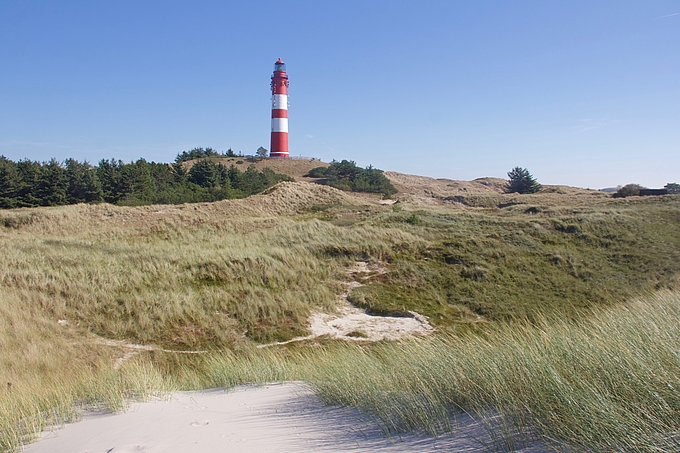 Dünen mit dem Amrumer Leuchtturm 