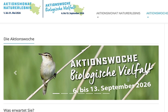 Bildschirmfoto Aktionswoche Bildschirmfoto Aktionswoche