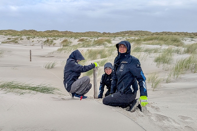 3 Freiwillige graben Pfahl aus 3 Freiwillige graben Pfahl aus