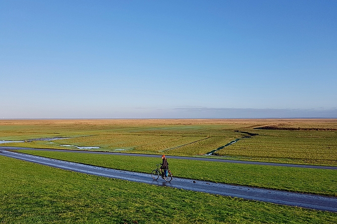 Freiwillige auf dem Fahrrad am Deich