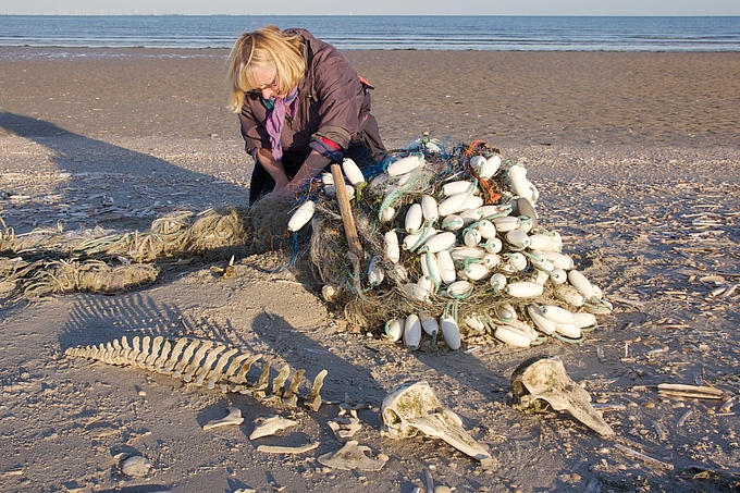 Netzrest am Strand mit Schweinswal-Knochen