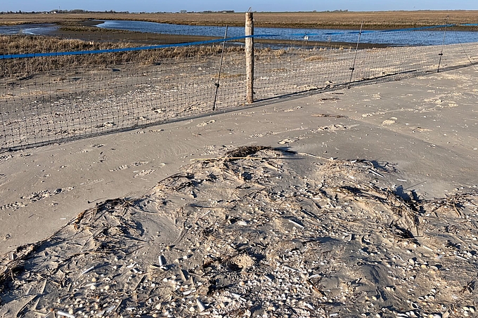 Spielnest im Schutzgebiet Spielnest im Schutzgebiet
