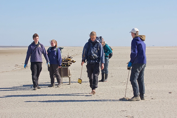 Aufstellen der Schilder an der Seeseite der Sandbank