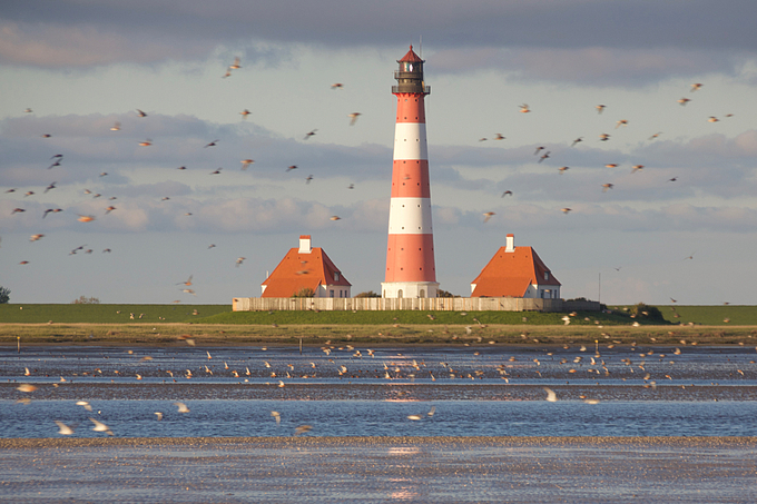 Leuchtturm Westerhever und Vogelschwärme im Abendlicht