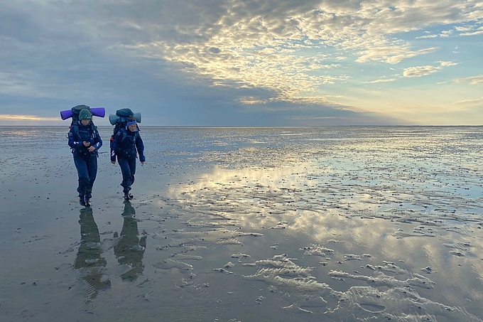 Wattläuferinnen mit großen Rucksäcken im Abendlicht