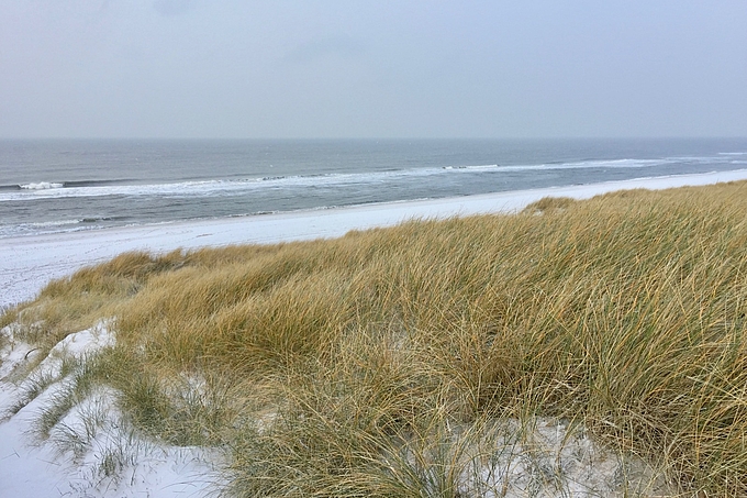 Sylter Strand und Dünen mit Schnee