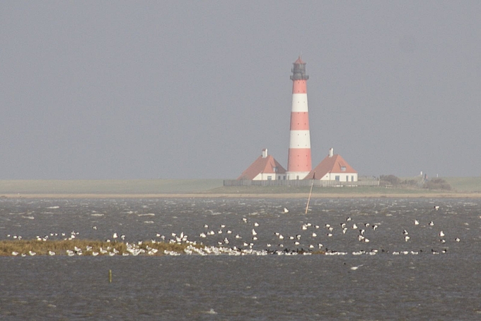 Leuchtturm Westerhever bei hohem Wasserstand