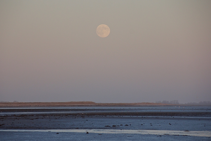 Vollmond über dem Watt