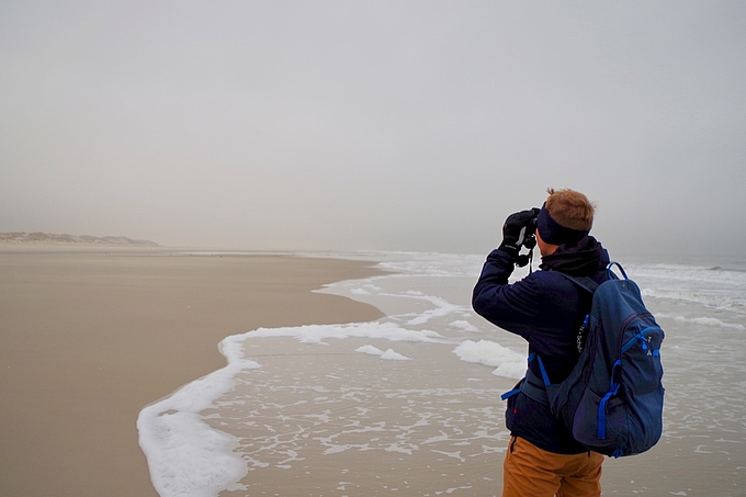 Kegelrobbenkontrollgang vor Amrum