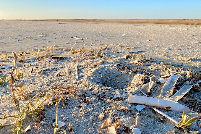 Typische Kuhle im Sand