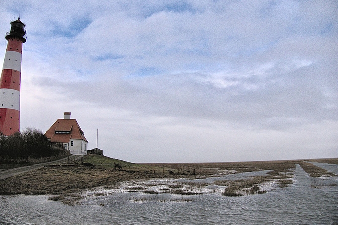 Nasse Salzwiesen vor Westerhever