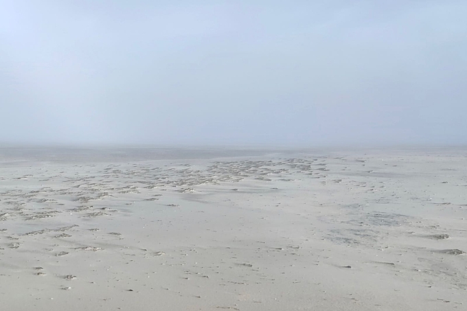 Seenebel zieht über der Sandbank auf