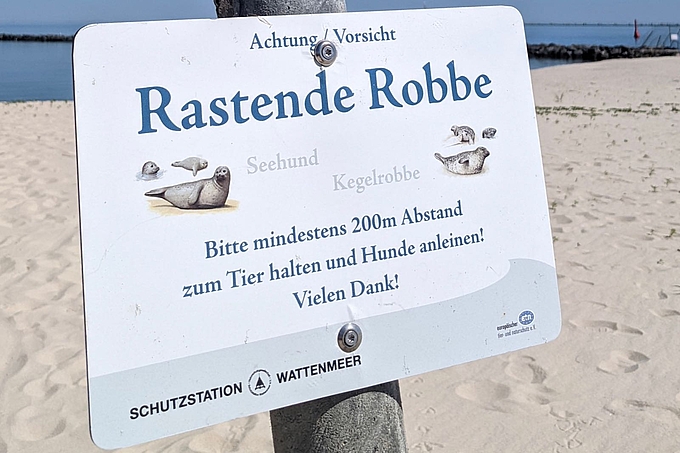 Schild "Rastende Robbe"