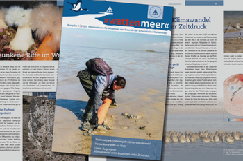 Ausschnitte aus dem neuen "wattenmeer"-Heft zum Themenjahr Unterwasserwelt