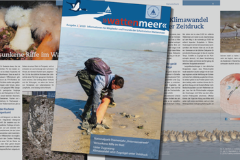 Ausschnitte aus dem neuen "wattenmeer"-Heft zum Themenjahr Unterwasserwelt