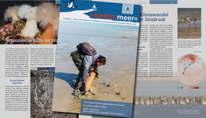 Ausschnitte aus dem neuen "wattenmeer"-Heft zum Themenjahr Unterwasserwelt