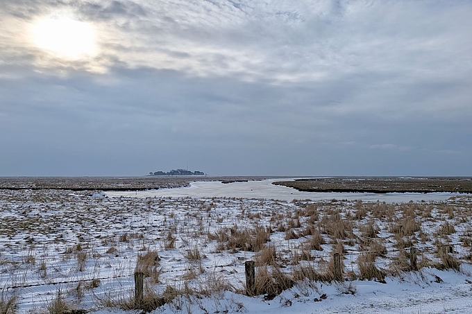 Schnee und Eis auf der Hallig