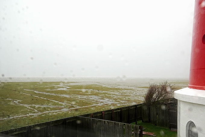 Blick auf halb überflutete Salzwiese