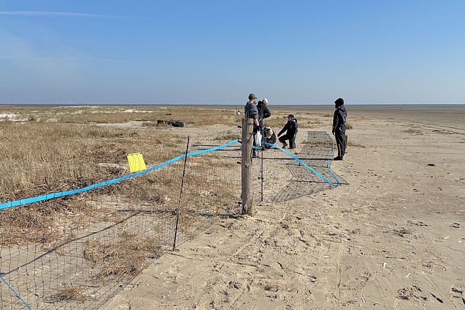 Montage eines Elektrozaunes am Strand