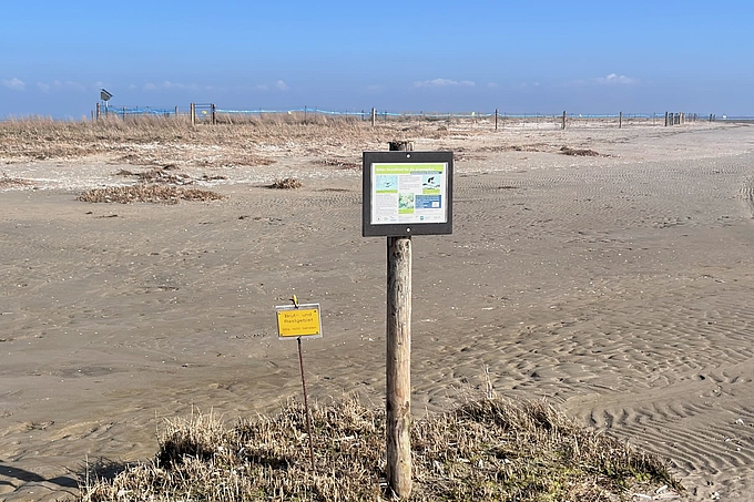 Pufferzone und Elektrozaun Pufferzone und Elektrozaun