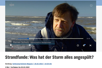 Rainer Schulz im Interview am Strand