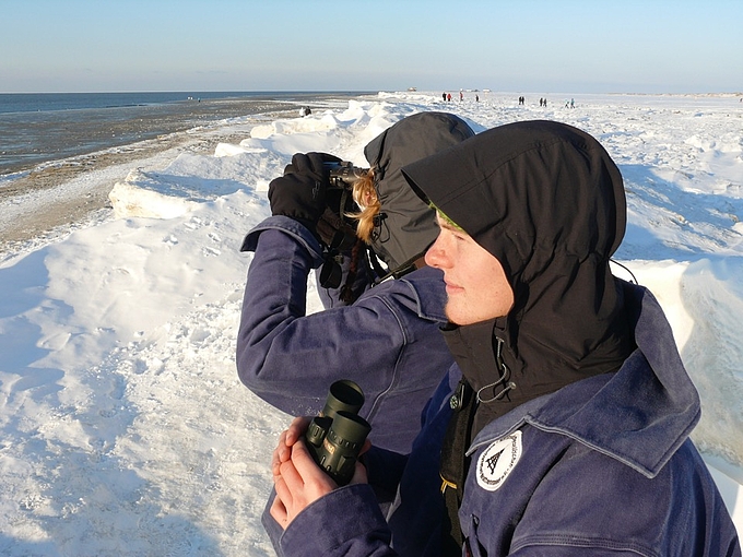 Vogelzähler im Winter am Watt