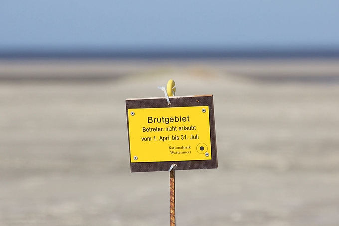 Gelbes Schild "Brutgebiet"