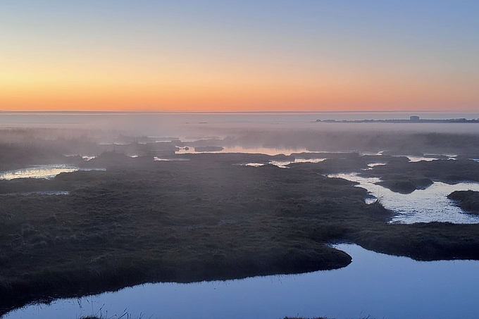 Dünne Nebelschicht flach über dem Boden Dünne Nebelschicht flach über dem Boden
