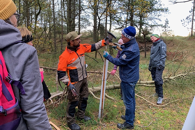 Freiwillige im Dünenwald