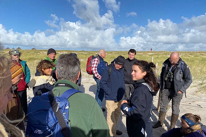 Gruppe an Pfahlreihe am Strand