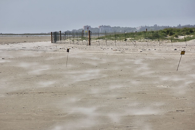 Fliegender Sand am Brutgebiet