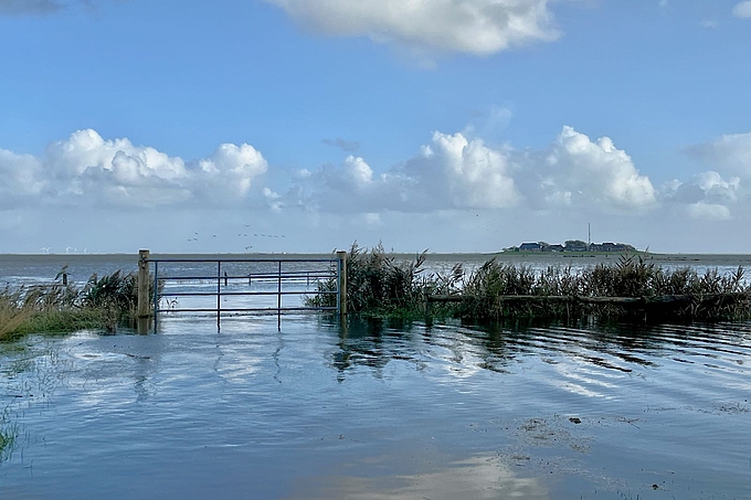 Blick auf ruhiges Wasser bei Landunter