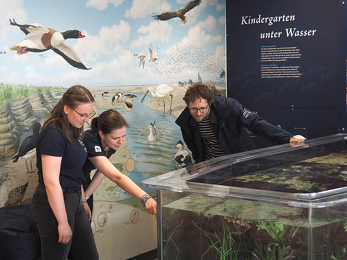 Umweltminister Jan Philipp Albrecht betrachtet, die von Freiwilligen gezeigten Aquarienbewohner 